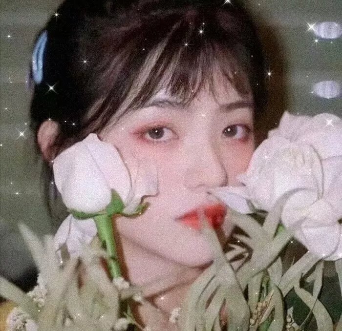少年神探狄仁杰